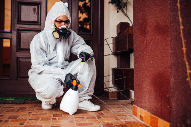 Reliable Cockroach Control contractor in Aubrey, TX by Nex Pest Control